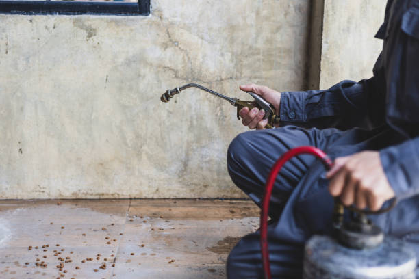Best Affordable Pest Control Services  in Milton, WA